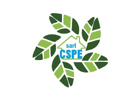 CSPE-NET